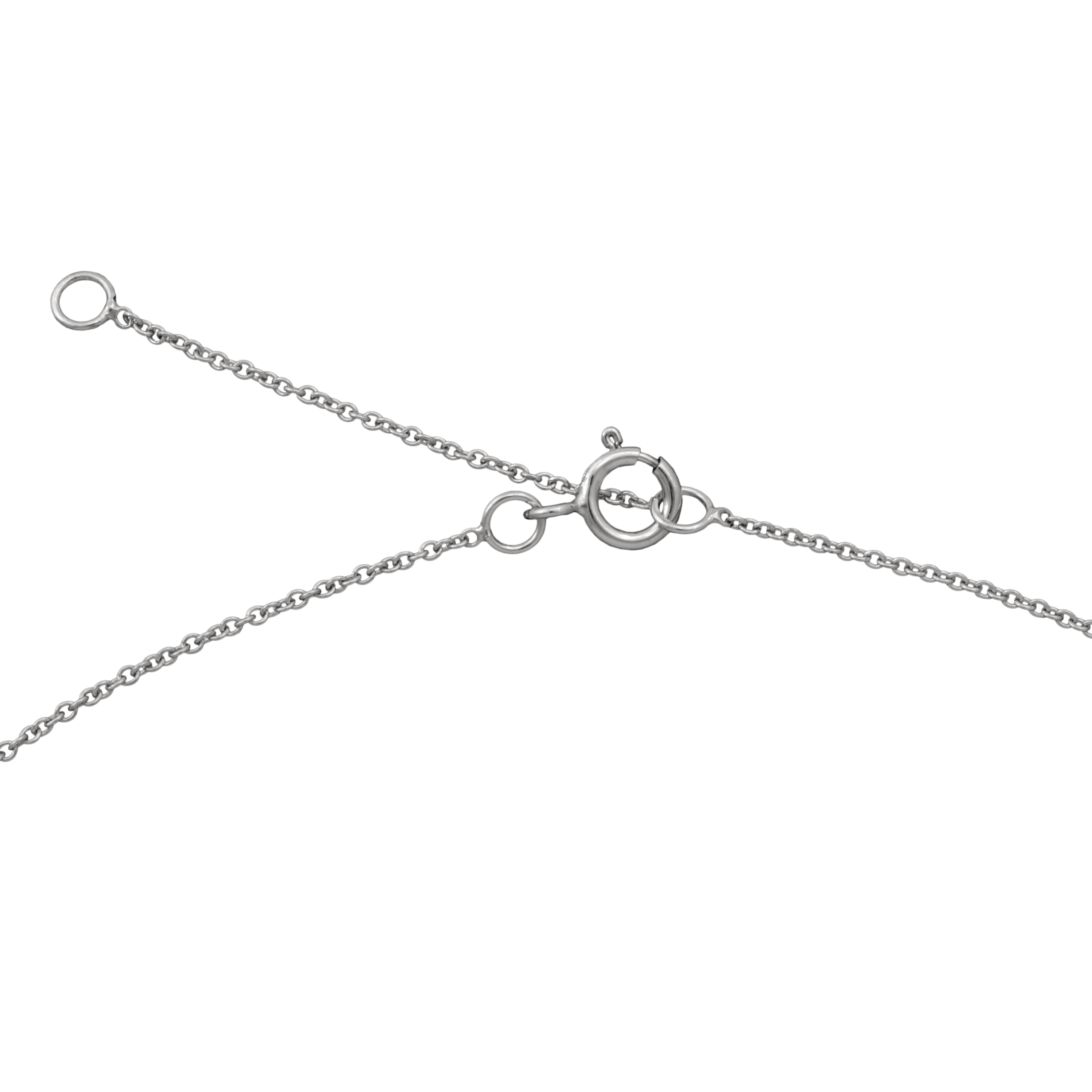Catena in Platino Rollò 25 - immagine 2
